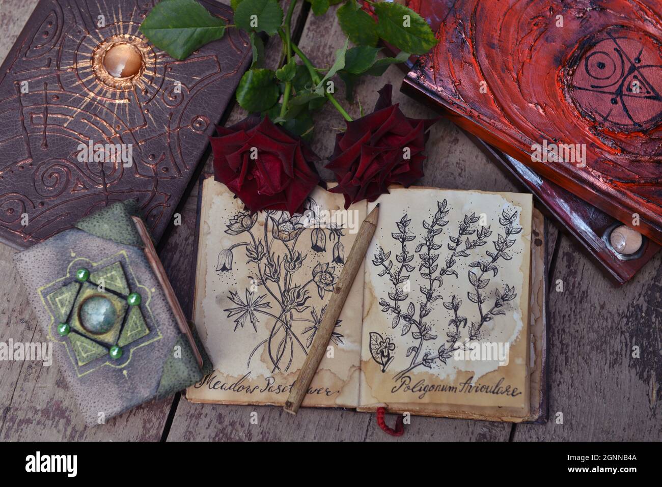 Stillleben mit altem Buch mit botanischen Zeichnungen, Rosen auf Holzplanken. Wissenskonzept mit leerem Vintage-Tagebuch und Kopierraum, Draufsicht Stockfoto