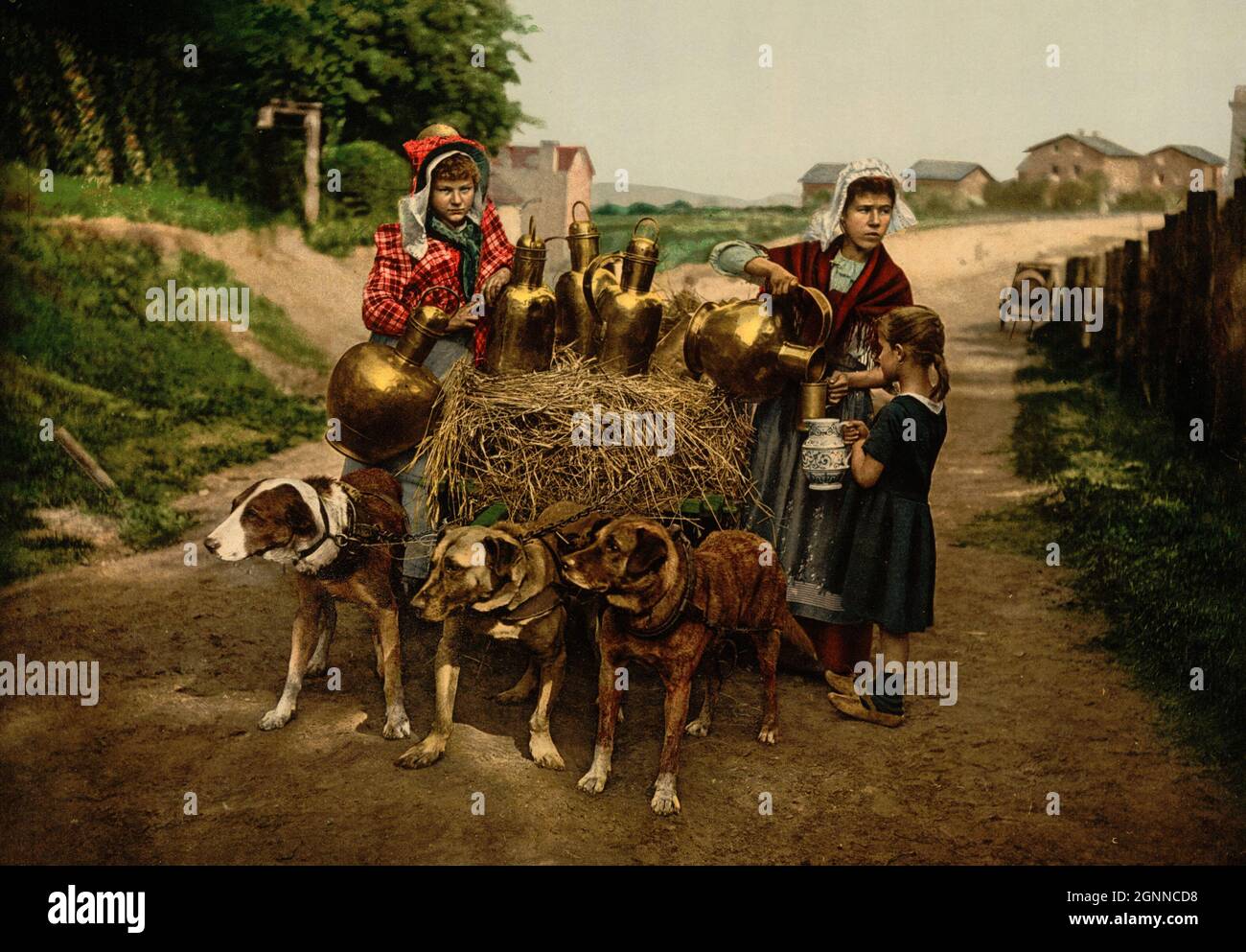 Brüsseler Milchhändler aus der Zeit um 1890. Die Menschen tragen traditionelle Trachten und ihr Wagen ist an einen Hund gespannt Stockfoto