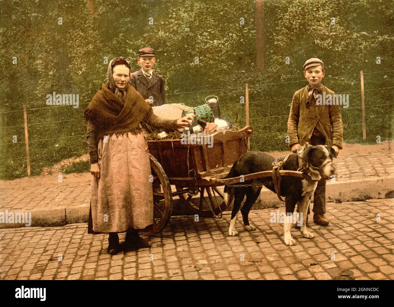 Brüsseler Milchhändler aus der Zeit um 1890. Die Menschen tragen traditionelle Trachten und ihr Wagen ist an einen Hund gespannt Stockfoto