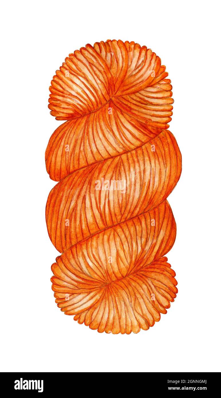 Aquarell-Illustration eines Skein aus orangefarbenem Garn, Skein. Die Wolle wird zu einem Ball verdreht. Glatt gewickelte Fäden. Stricken, Nadelarbeit, Kreativität, t Stockfoto