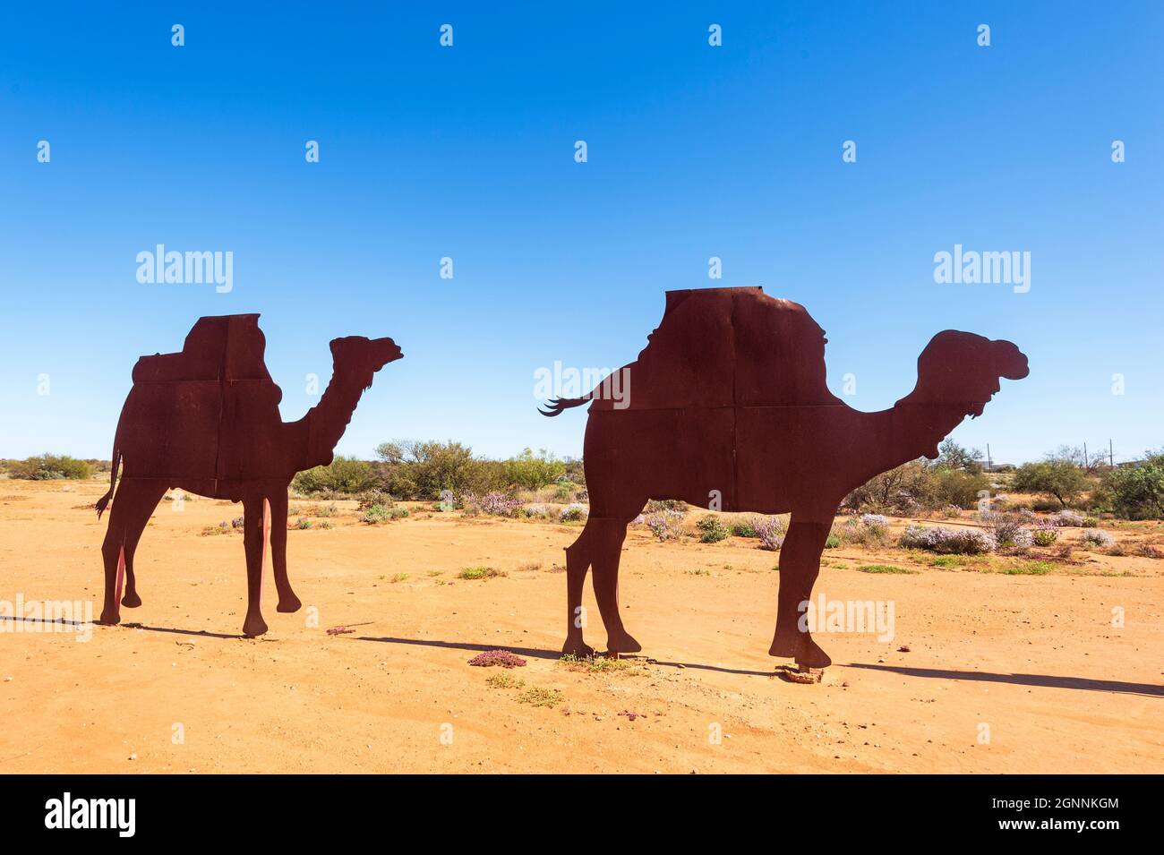 Metallstatuen eines Kamelzuges zum Gedenken an Alfred Canning, der eine neue Stock-Route, Cue, Region Murchison, Western Australia, Australien, vermessen hat Stockfoto