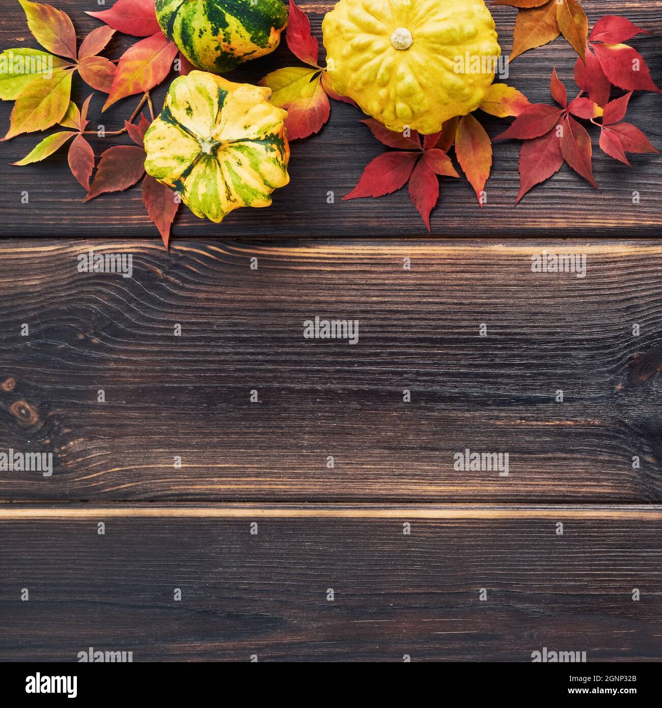 Herbstlicher Hintergrund mit Kürbissen, abgefallenen bunten Blättern auf einem dunklen Holztisch. Happy Thanksgiving Konzept. Flach liegend, Platz für Text kopieren Stockfoto