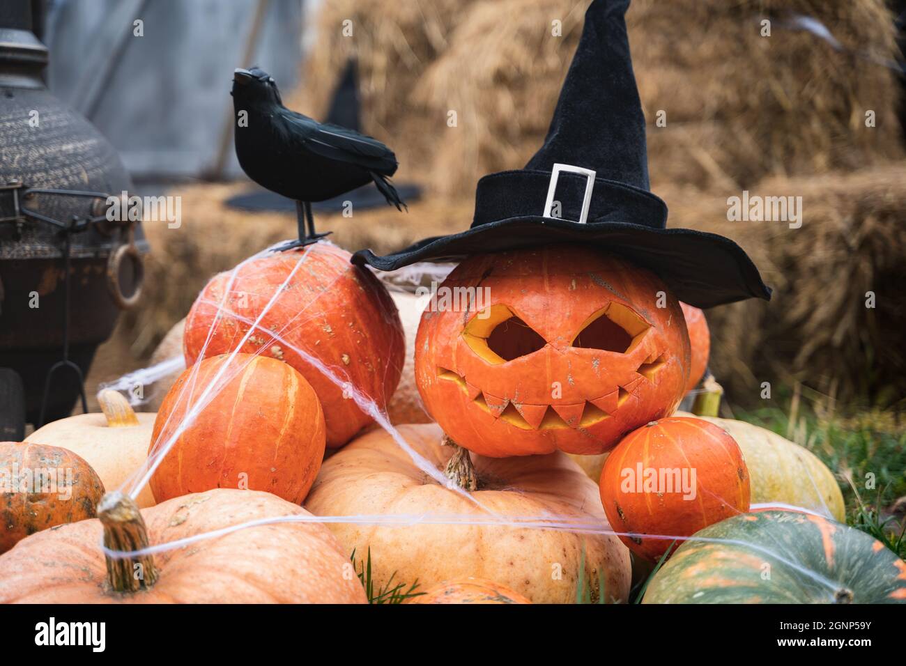 Ein Haufen orangefarbener Kürbisse für halloween, ein großer schwarzer Rabe, ein Zaubererhut, eine Laterne mit gruselig geschnitzten Augen, ein Mund, Heuhaufen in der Scheune, Straßendecoratio Stockfoto