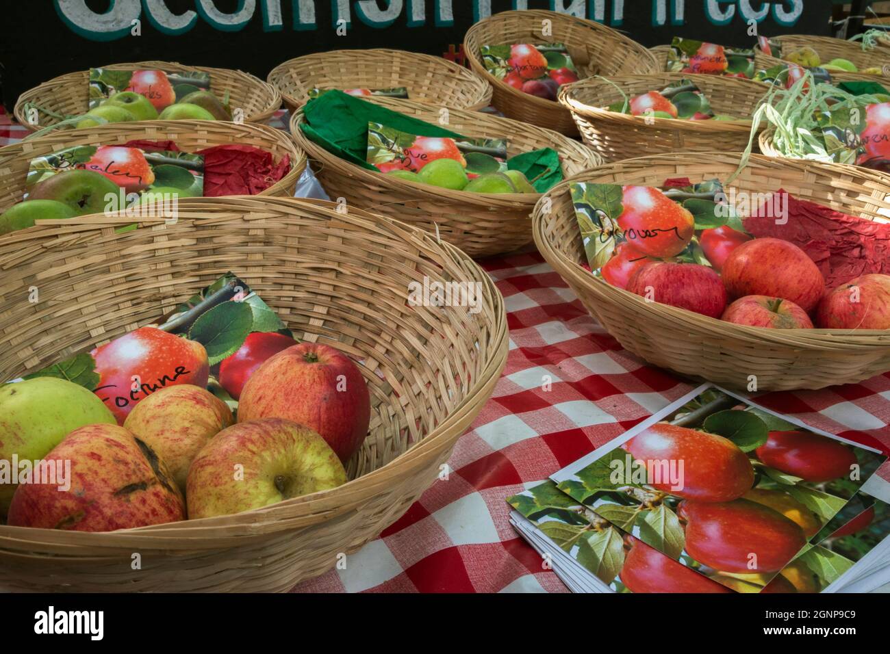 Apfelsorten auf dem Markt am Apple Day, Hexham Farmers' Market, Northumberland, Großbritannien Stockfoto
