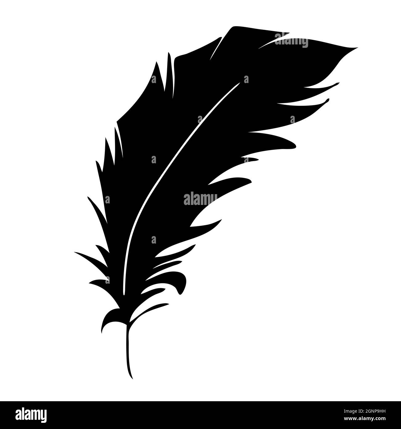 Feder der Vögel. Schwarze Feder Silhouette für Logo Vektor-Set Stock Vektor