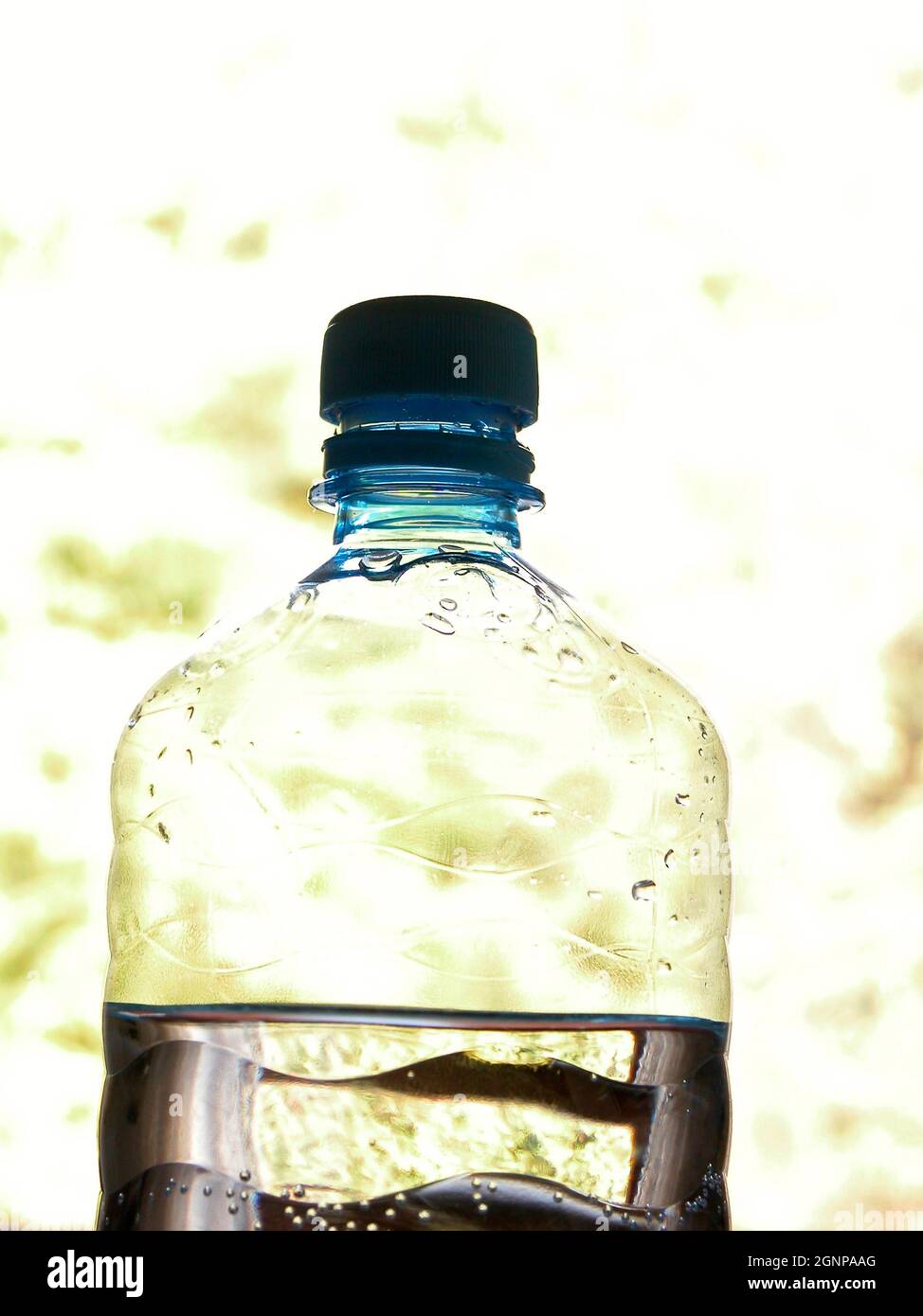 Mineralwasserflasche im Gegenlicht, Ã–Königreich Stockfoto