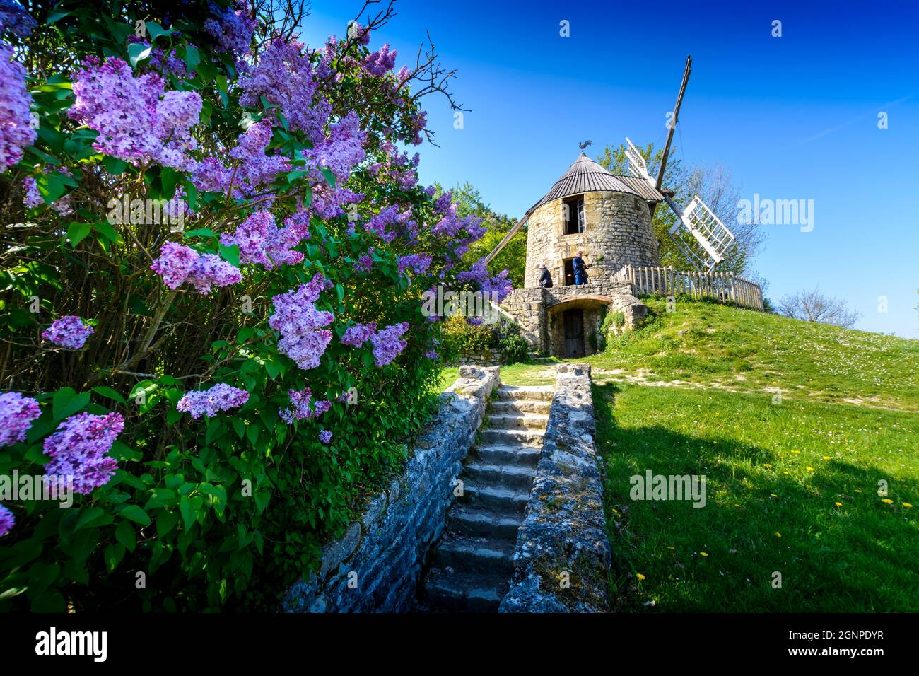 La Sallette Windmühle und Frühlingsblumen, Tarn, Frankreich Stockfoto