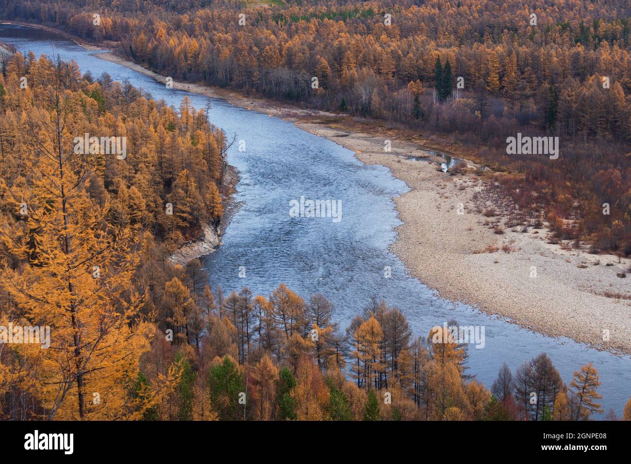 Herbstlandschaft am Fluss Chulman in Südjakutien, Russland Stockfoto