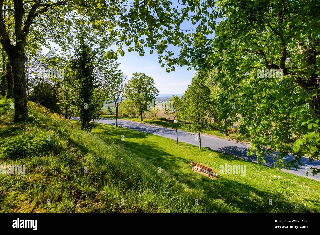 Baumweg im Dorf Lautrec, Tarn, Frankreich Stockfoto