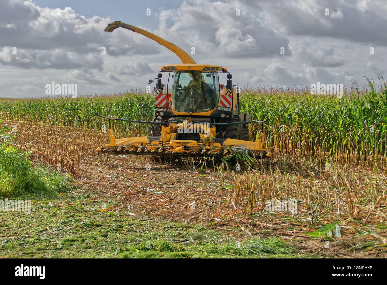 New Holland Stockfoto