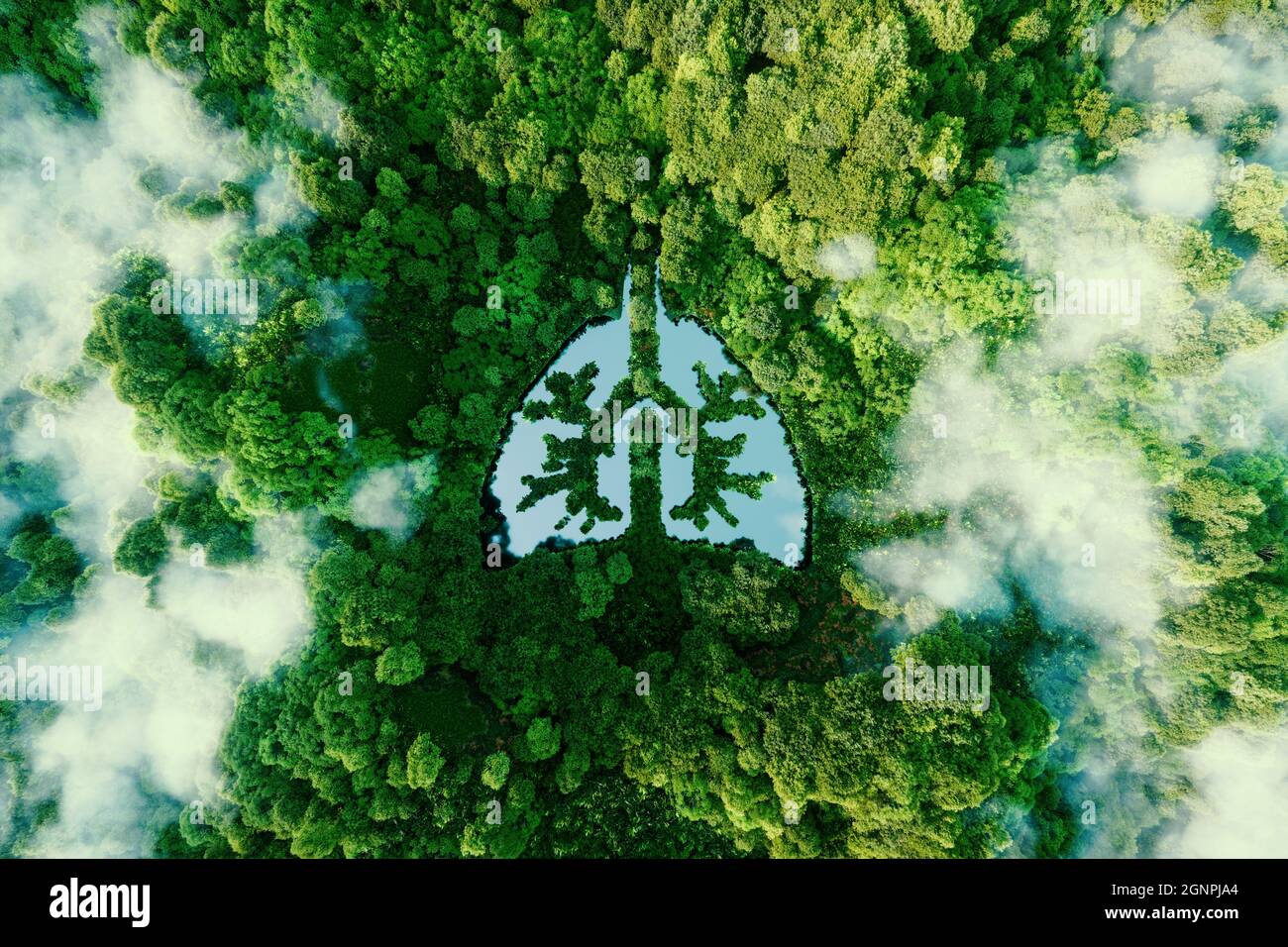 Ein metaphorisches Bild der Lunge des Planeten Erde. Eine Ikone in Form eines lungenförmigen Teiches inmitten eines wilden, unberührten und unberührten Waldes. Stockfoto