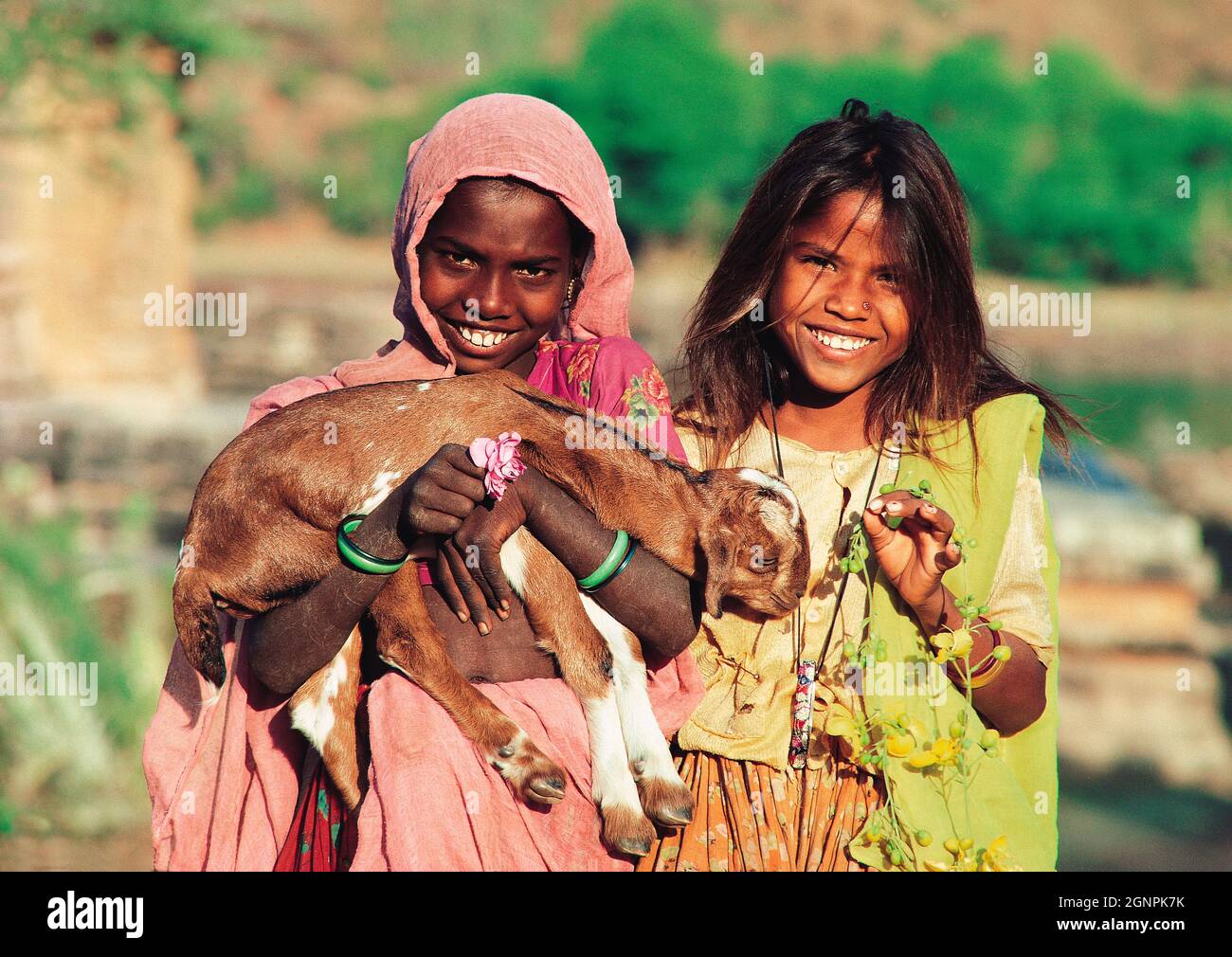 Indien. Rajasthan. Udaipur. Nathdwara. Kinder im ländlichen Raum. Zwei Mädchen mit einer Ziege. Stockfoto