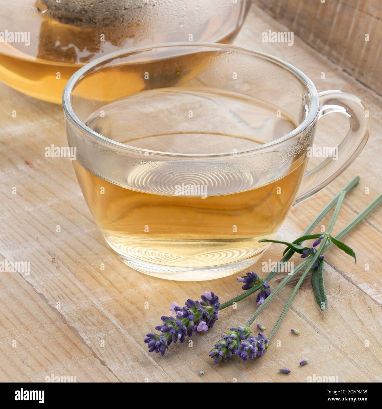 Glasbecher mit Lavendeltee und einem frischen Zweig Lavendel vorne auf einem Holztisch Stockfoto