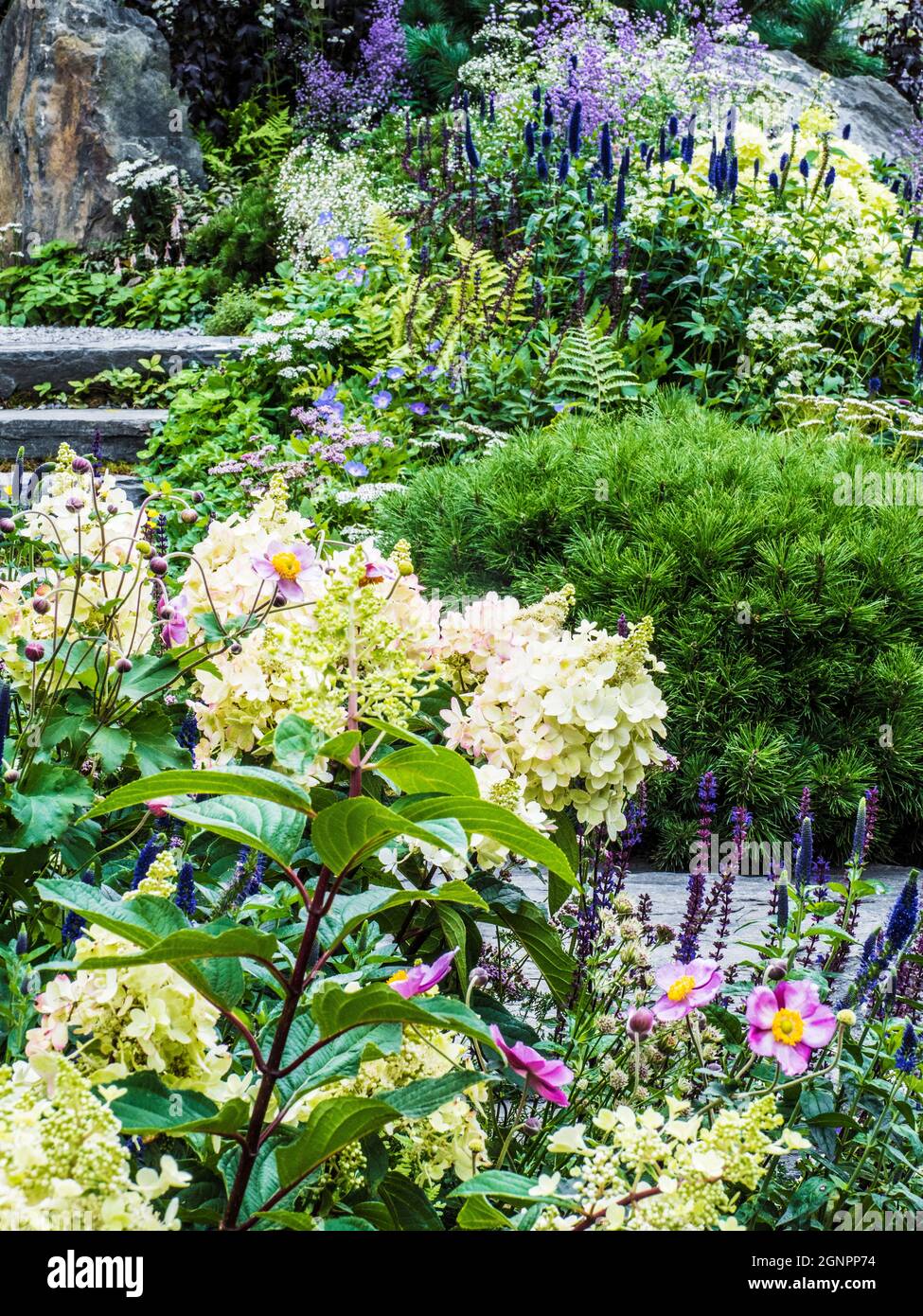 Einer der Schaugärten auf der RHS Chelsea Flower Show 2021. Stockfoto