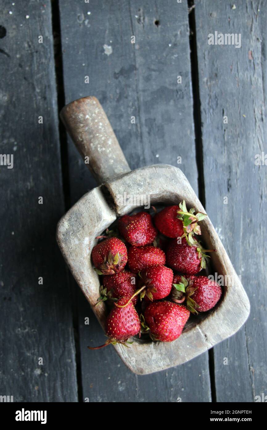 Frische, saftige Erdbeeren in einem alten Holzbehälter. Stockfoto