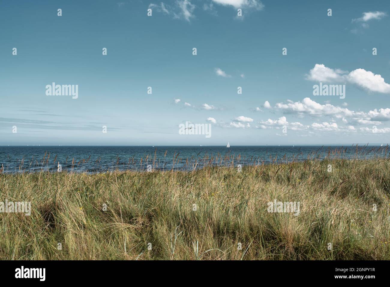 Gras bedeckte Düne und ostsee gegen schönen Himmel Stockfoto