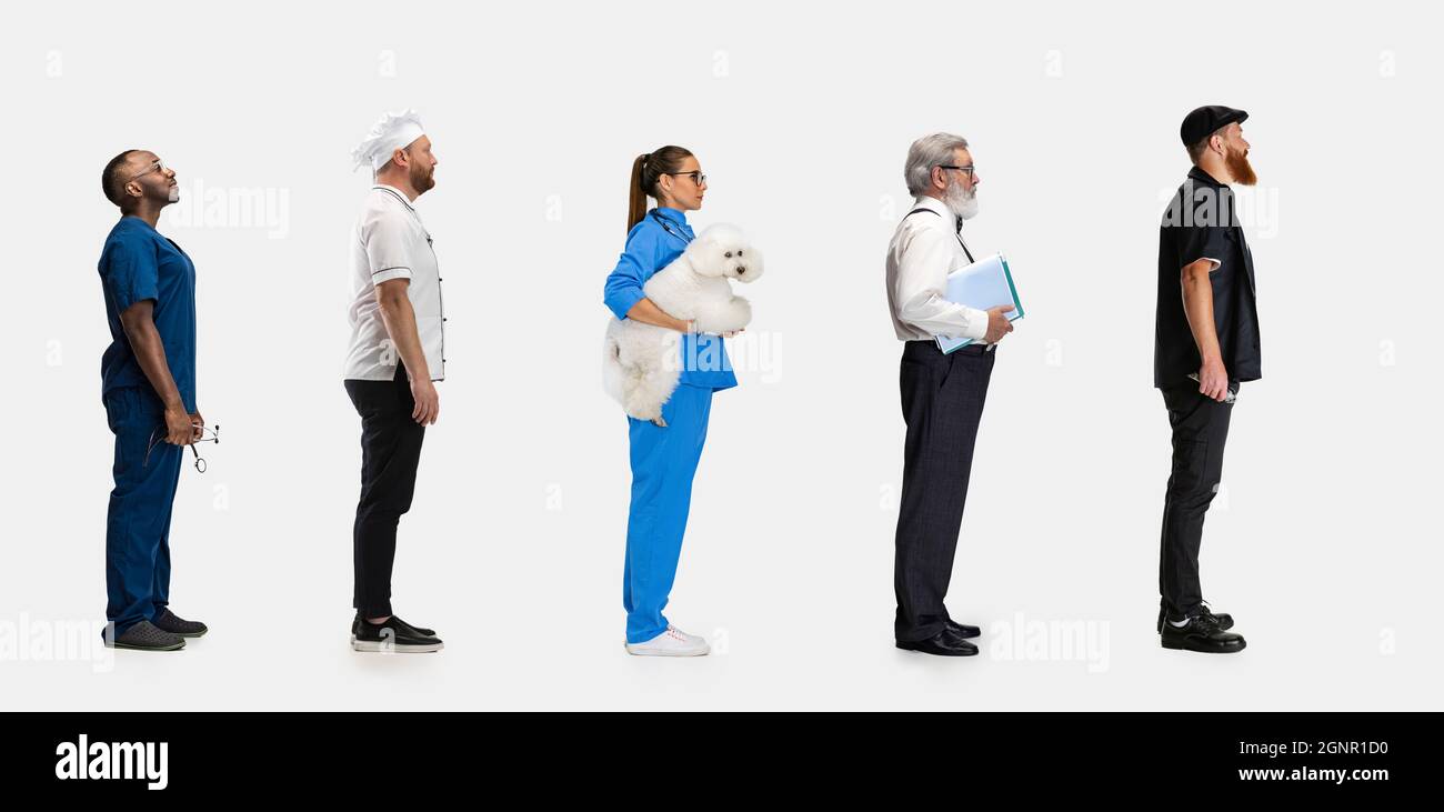 Gruppe von Geschlechtern gemischte Menschen mit verschiedenen Berufen, Arbeitsplätze stehen isoliert auf weißem Studio Hintergrund. Horizontaler Flyer, Collage. Seitenansicht Stockfoto Gruppe von Geschlechtern gemischte Menschen mit verschiedenen Berufen, Arbeitsplätze stehen isoliert auf weißem Studio Hintergrund. Horizontaler Flyer, Collage. Seitenansicht Stockfoto
