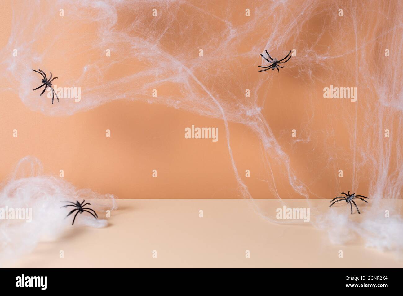 Gruselige Halloween moderne Szene mit Spinnennetz und Spinnen Stockfoto