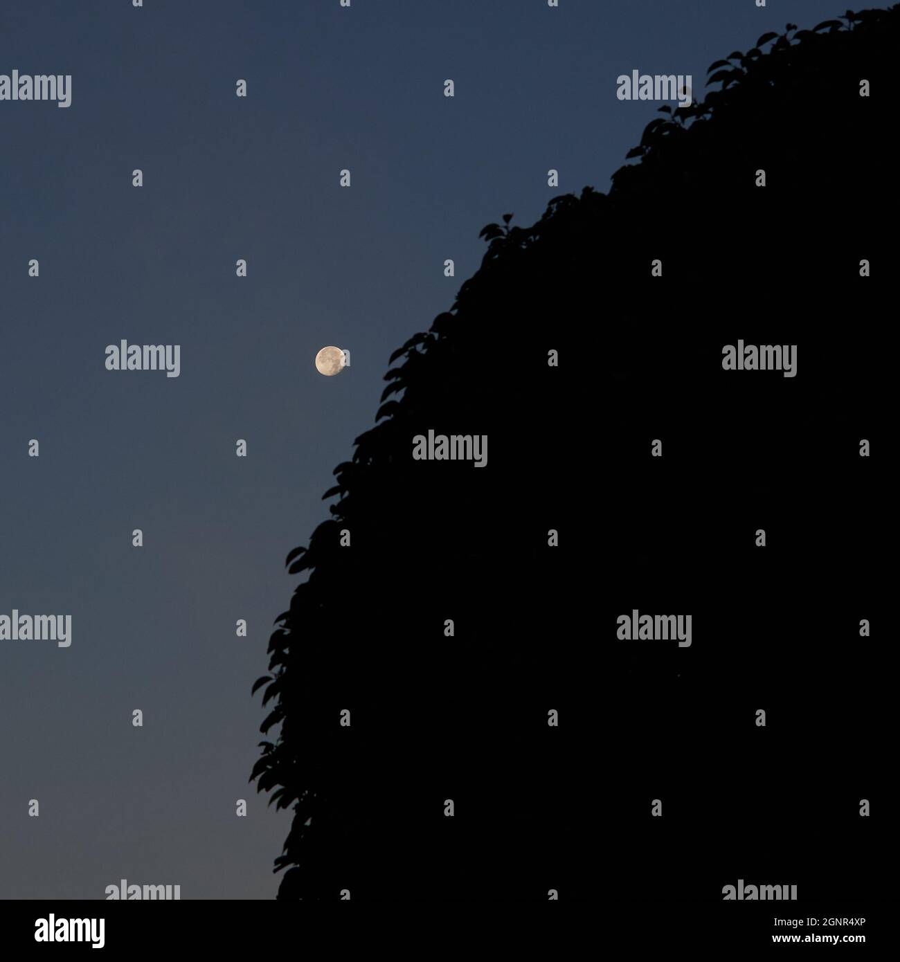 Vollmond am Himmel des Vereinigten Königreichs im September 2021. Stockfoto