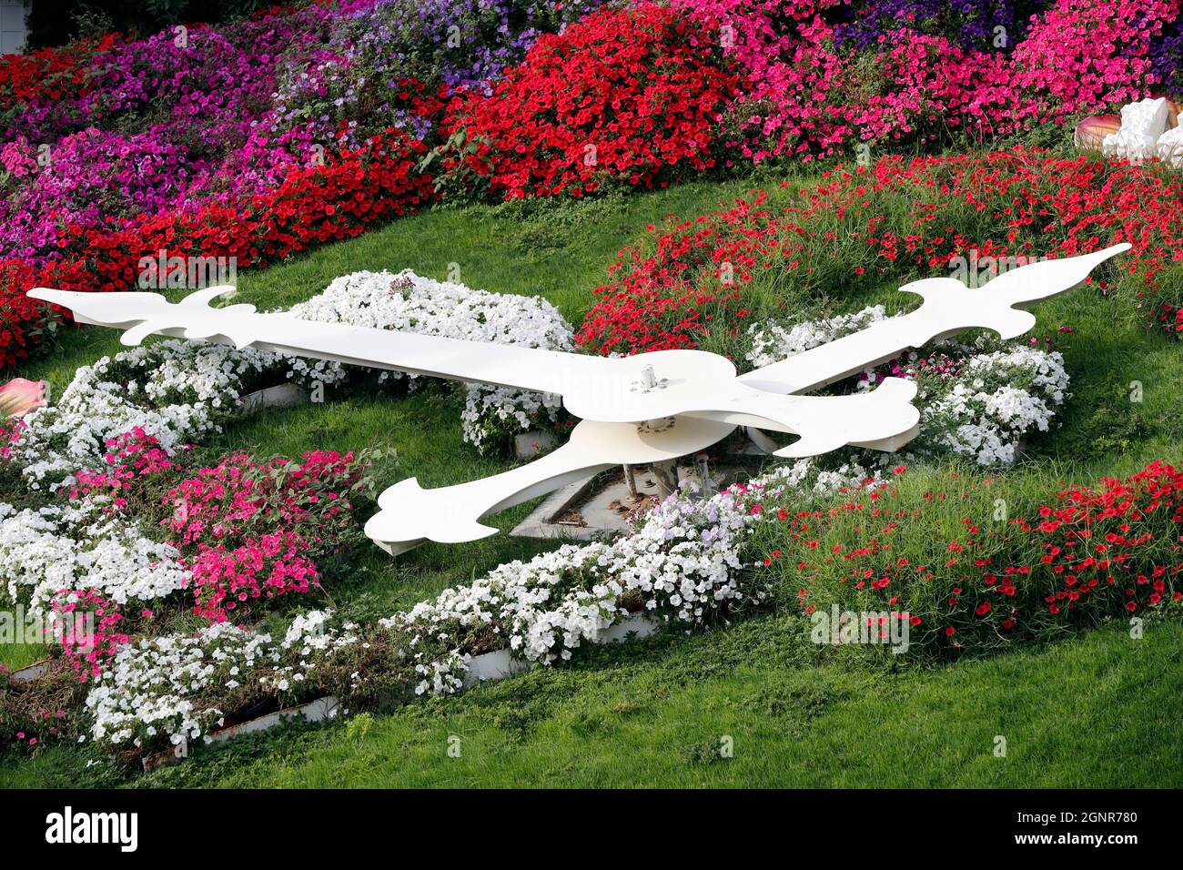 Dubai Miracle Garden, ein Blumengarten in Dubailand. Uhr mit leuchtendem Blumenmuster. Dubai. Vereinigte Arabische Emirate. Stockfoto