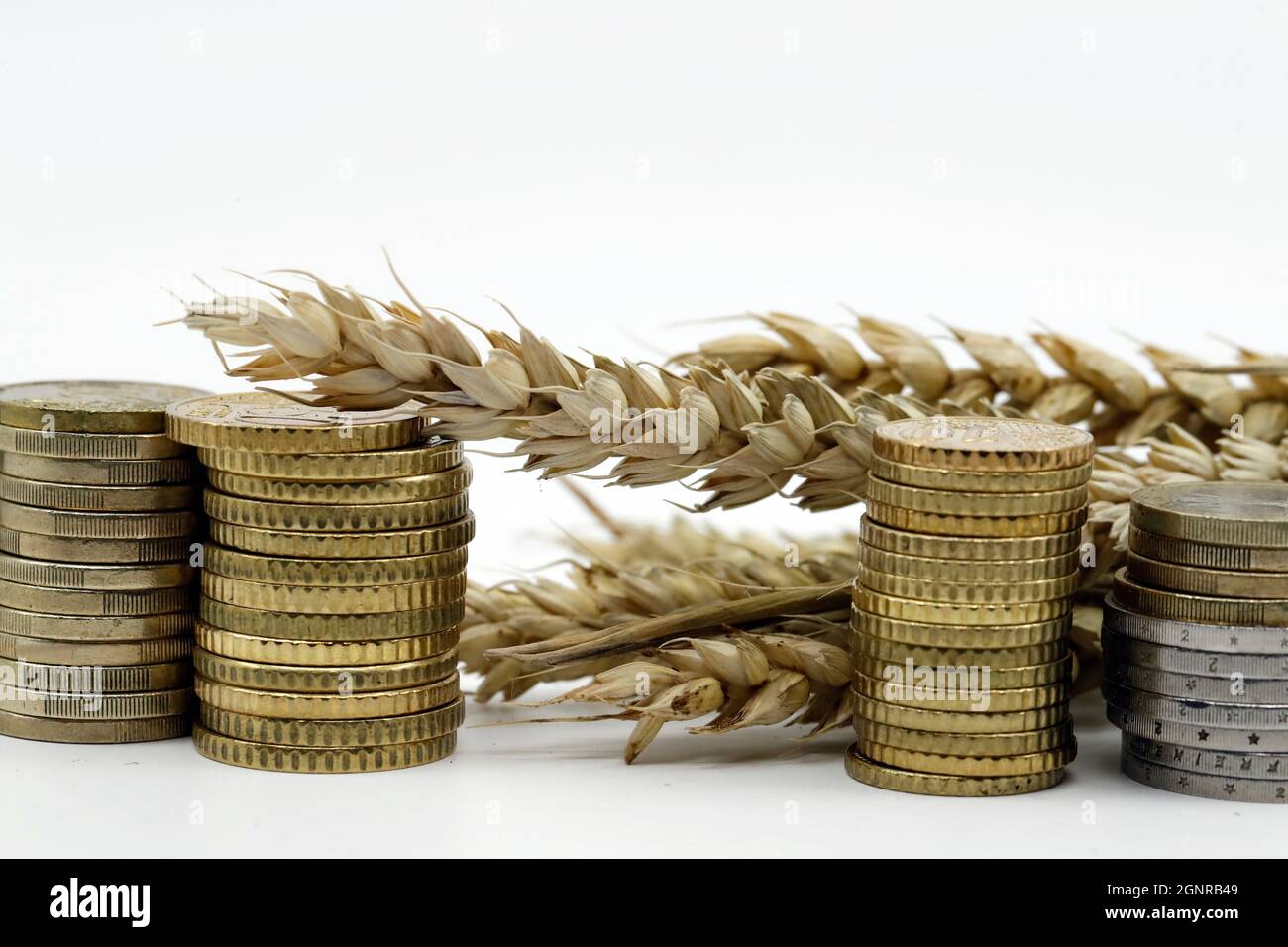 Weizenohren und Münzen. Fairer Handel. Rohstoffhandel. Erntekonzept für die Landwirtschaft. Stockfoto