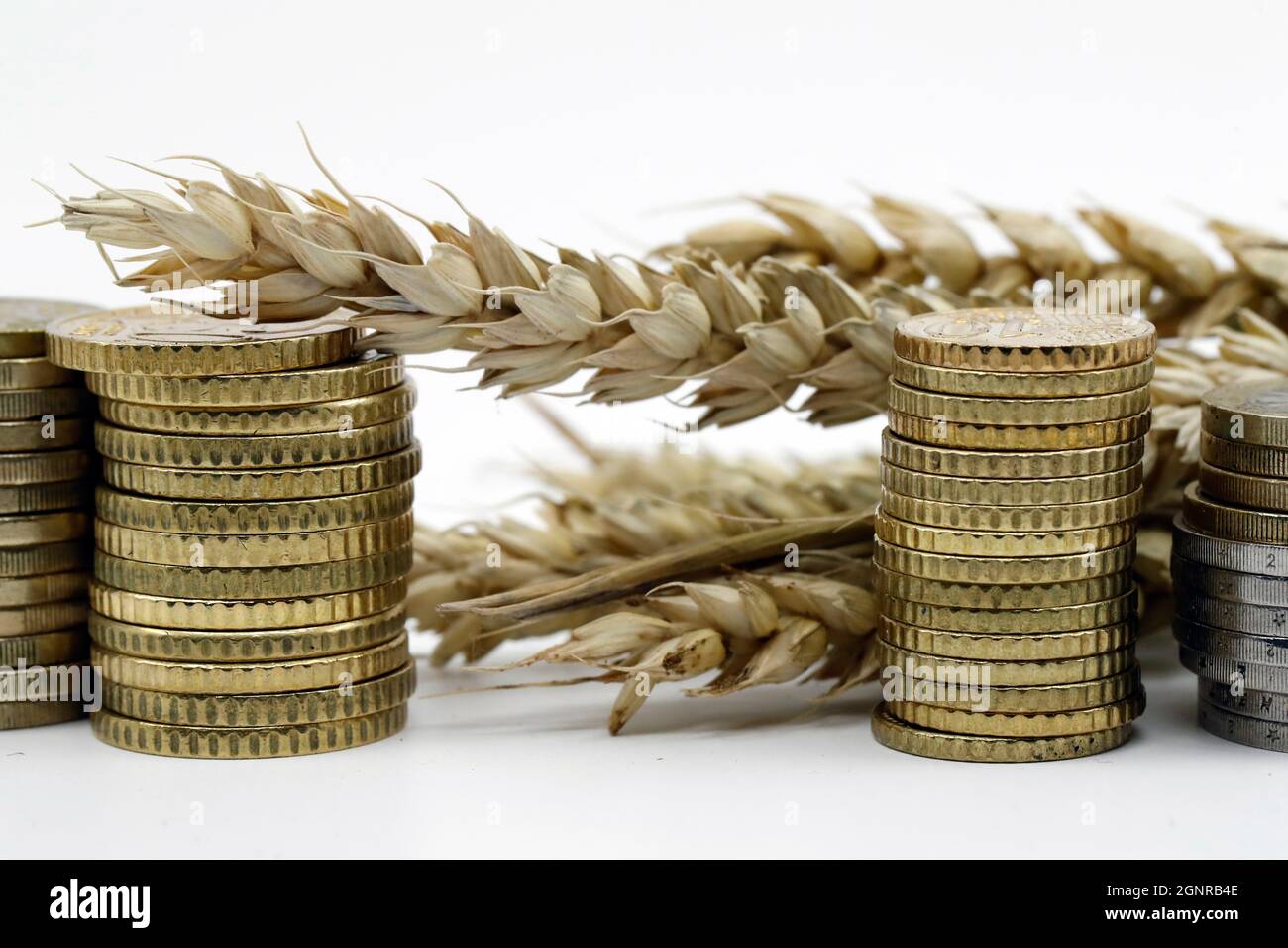 Weizenohren und Münzen. Fairer Handel. Rohstoffhandel. Erntekonzept für die Landwirtschaft. Stockfoto