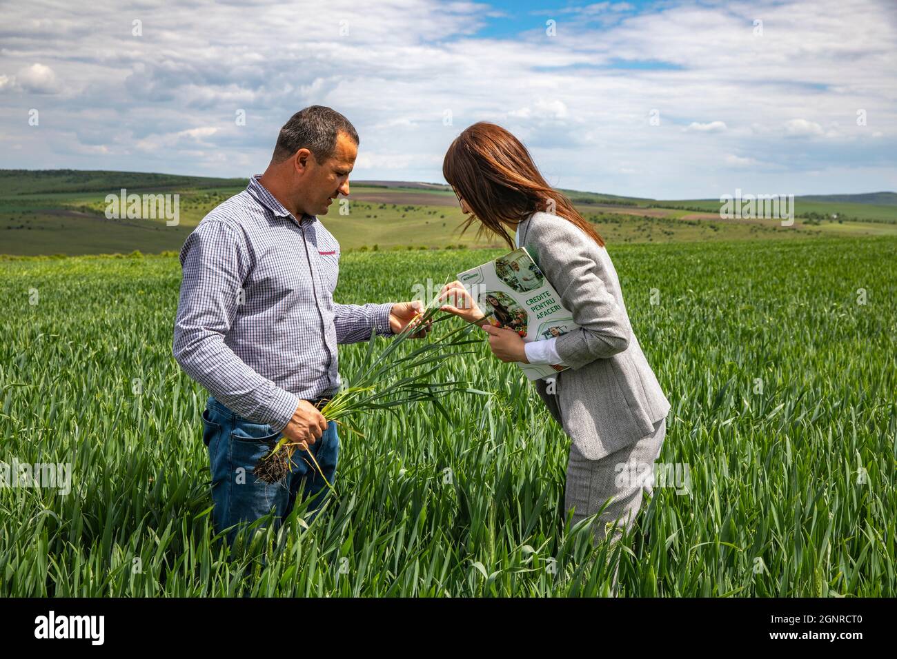 Kunde und Mitarbeiter einer Mikrofinanzinstitution im Weizenfeld des Kunden in Solcani, Moldawien Stockfoto