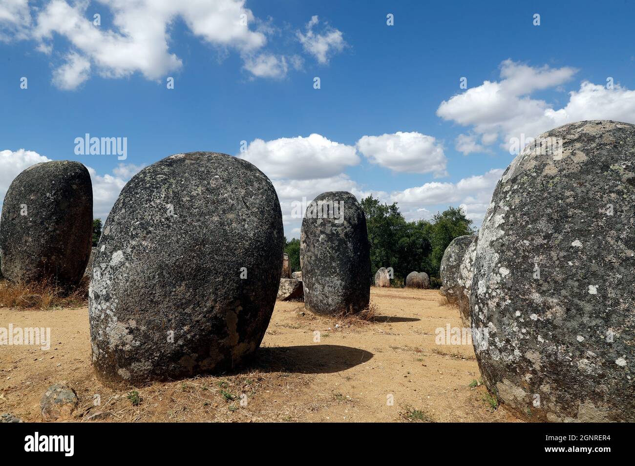 Der Cromlech der Almendres ist ein megalithischer Komplex. Es ist eine der größten bestehenden Gruppen strukturierter Menhire in Europa. Portugal. Stockfoto