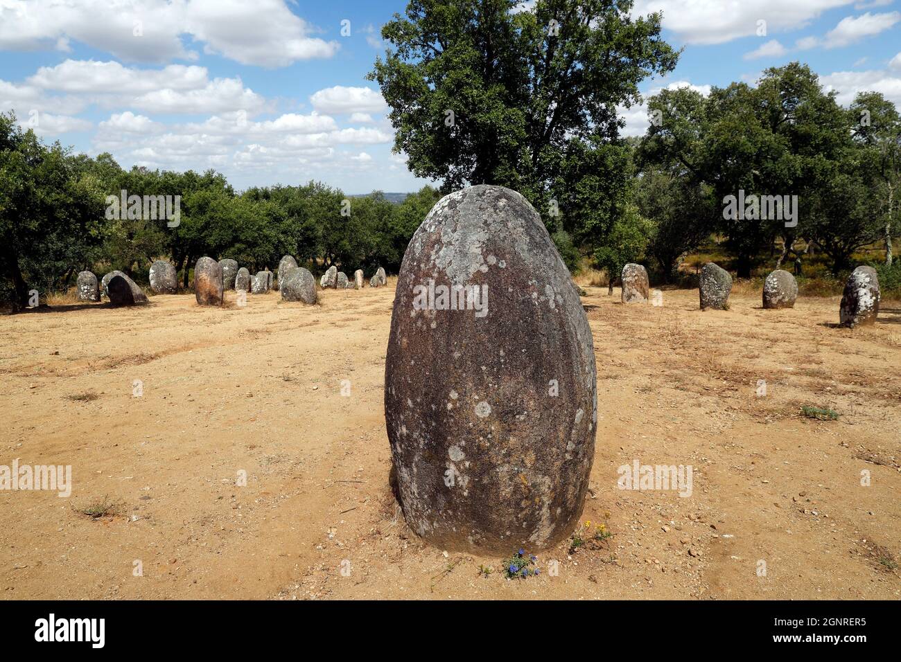 Der Cromlech der Almendres ist ein megalithischer Komplex. Es ist eine der größten bestehenden Gruppen strukturierter Menhire in Europa. Portugal. Stockfoto