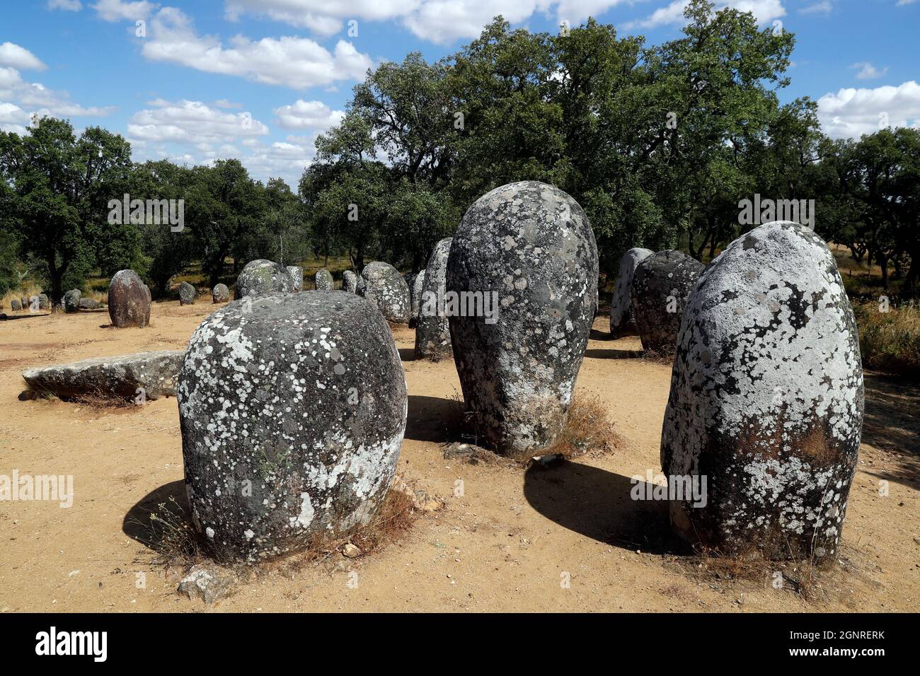 Der Cromlech der Almendres ist ein megalithischer Komplex. Es ist eine der größten bestehenden Gruppen strukturierter Menhire in Europa. Portugal. Stockfoto