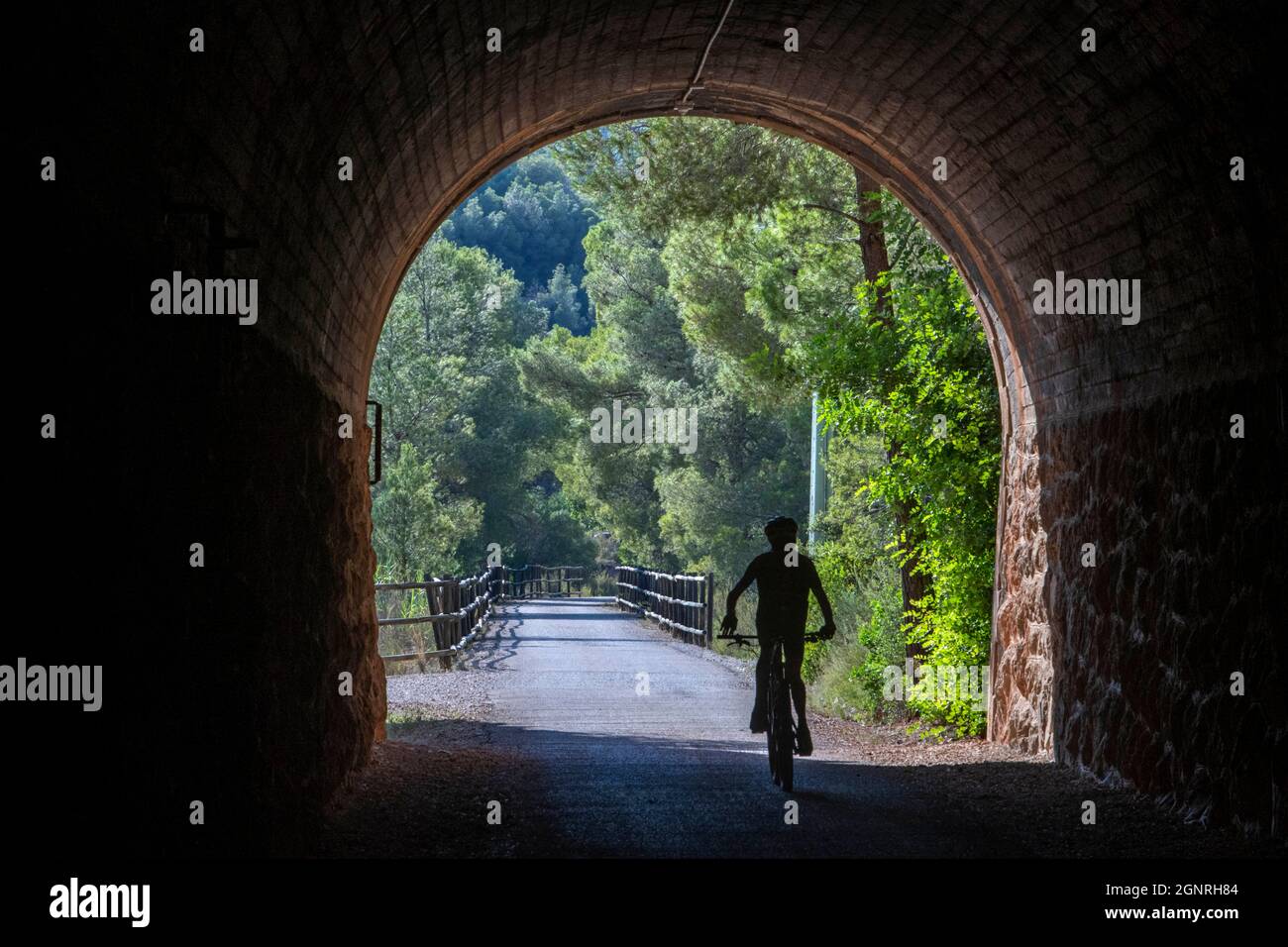 Radfahren auf dem grünen Weg des Val de Zafán zwischen den Dörfern bot und Xerta (Tarragona, Katalonien, Spanien). Der Val de Zafán Greenway ist eine alte Bahnstrecke CO Stockfoto