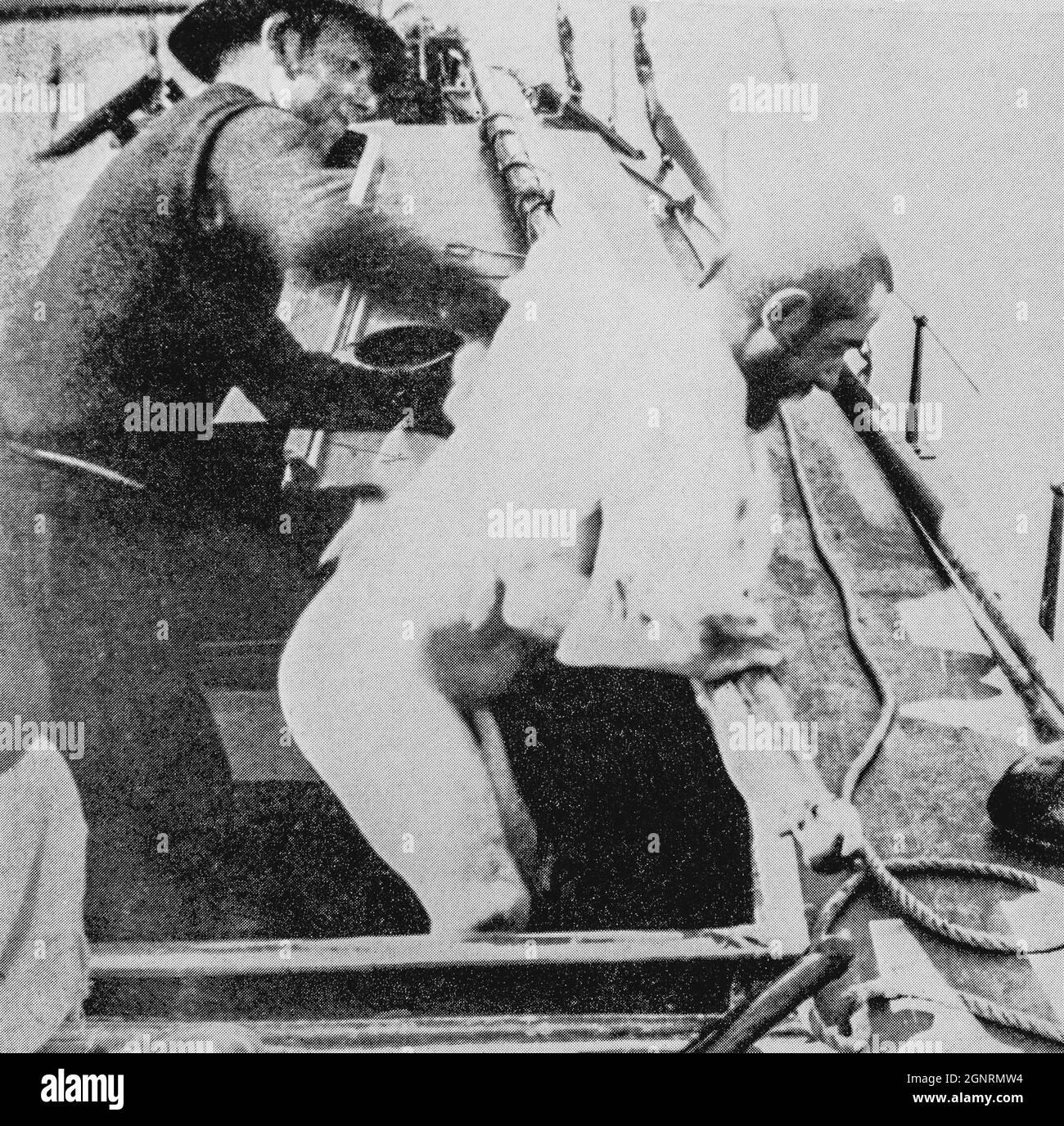 Henri Toulouse-Lautrec bei einem Badeausflug im Bassin d’Arcachon in der Aquitaine, Frankreich, im Sommer 1889. Henri Toulouse-Lautrec, 1864 - 1901, französischer Künstler nach dem Impressionismus. Stockfoto