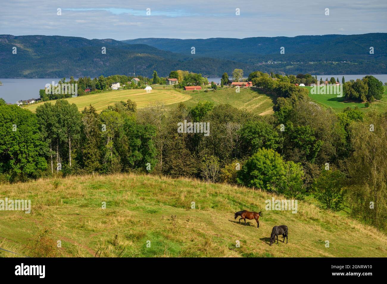 Blick über die sanften Hügel mit Bauernhöfen, Häusern und Wäldern und dem Norsjø-See im Gebiet Ulefoss des norwegischen Telemark-Kreises. Stockfoto