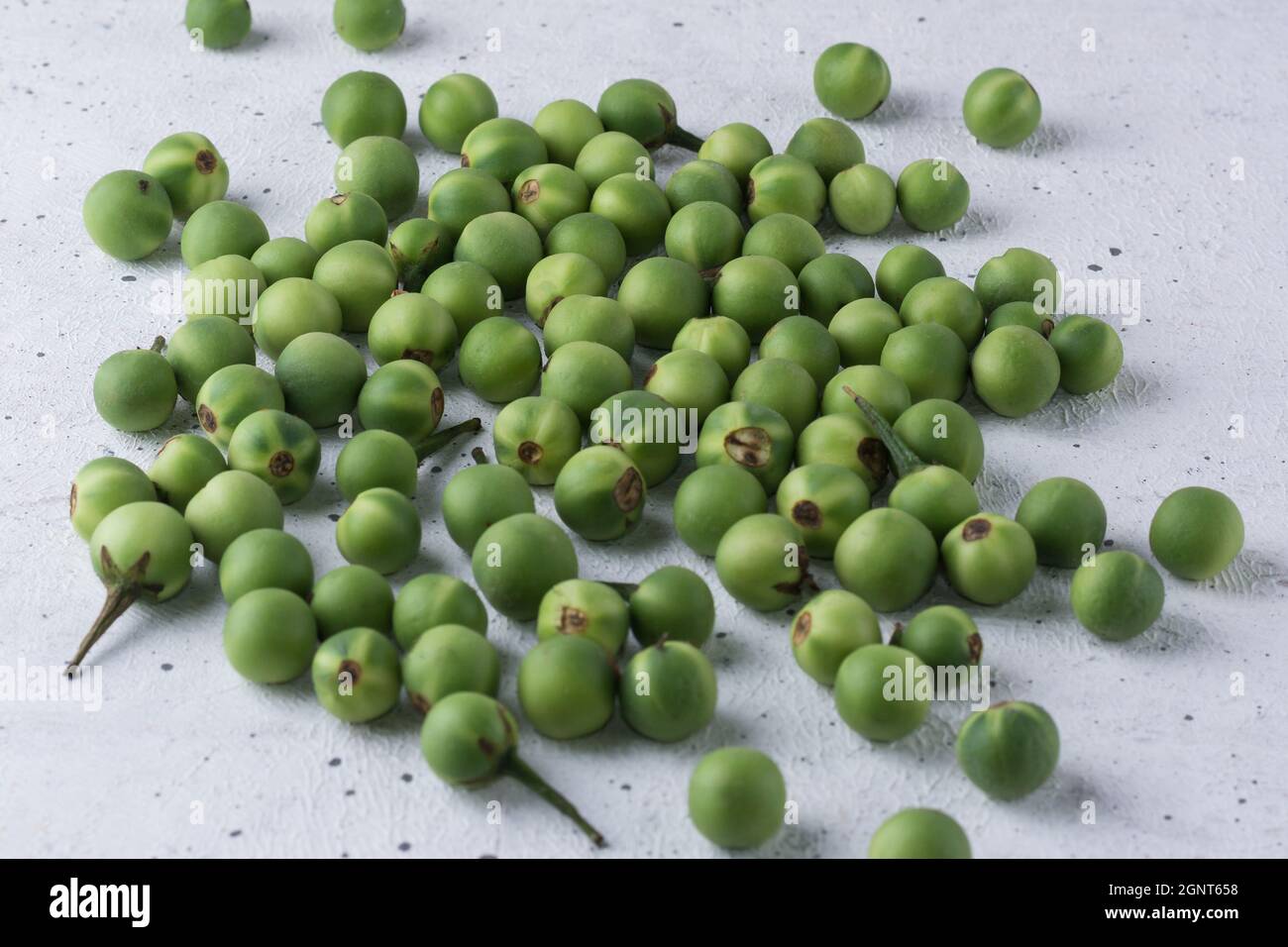 putenbeere, auch Wildaubergine oder Erbsenaugpflanze genannt, rundes Gemüse auf einem strukturierten weißen Hintergrund Stockfoto