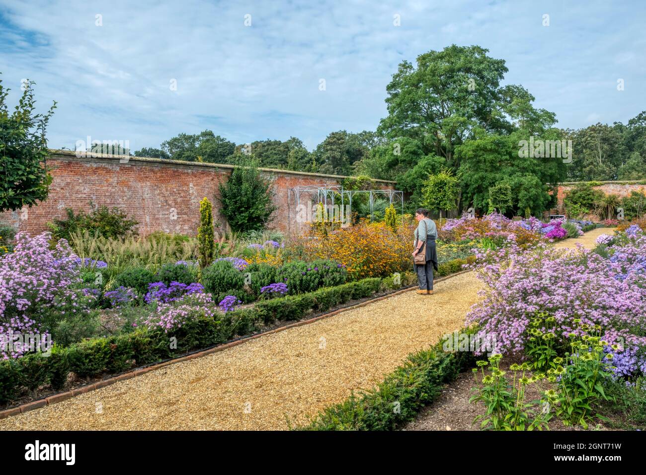 Ein Besucher, der im Walled Garden in Holkham Hall, North Norfolk, die Grenzen von Spätsommerblumen bewundert. Stockfoto