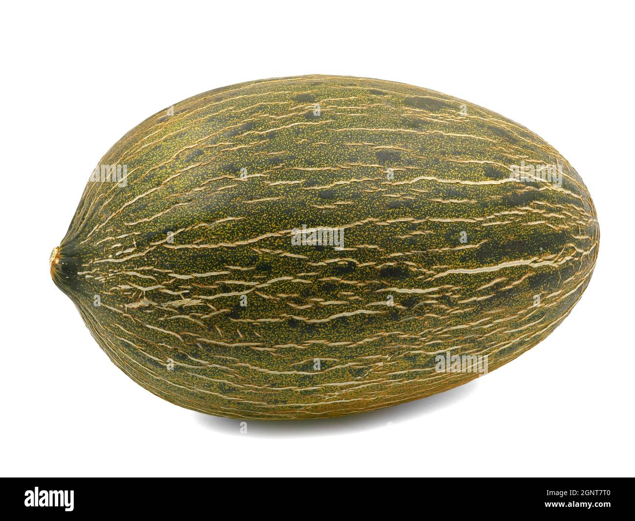 Ganze einzelne Piel de Sapo Melone isoliert auf weißem Hintergrund Stockfoto