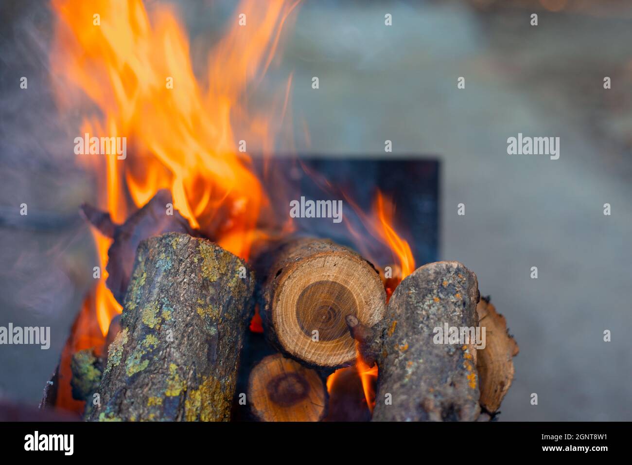 Brennende Kirschbäume auf dem Grill, Kochen Kohlen für den Grill Stockfoto