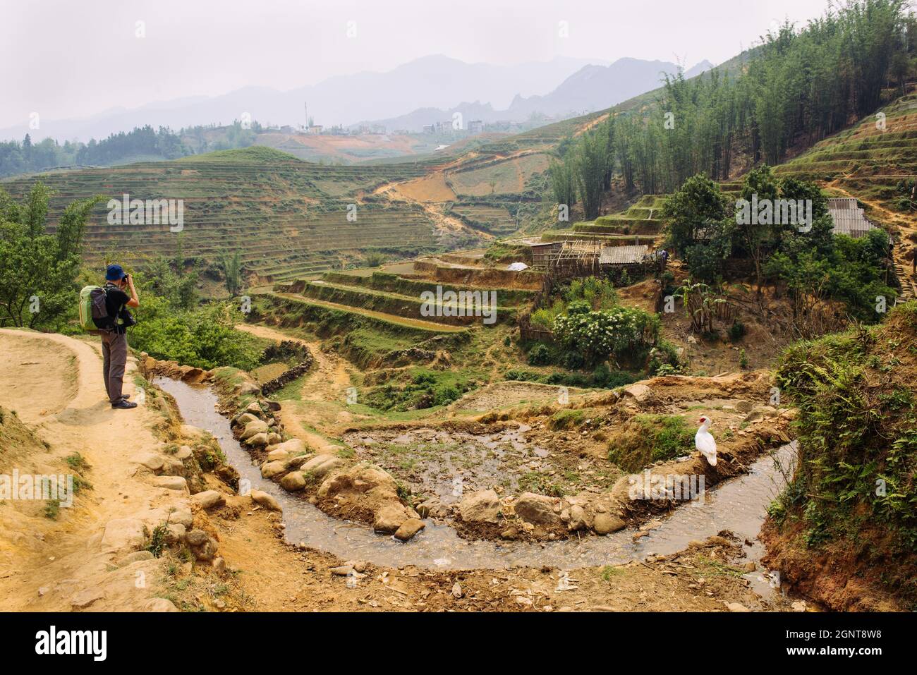 Mann, der im Sommer mit einer Fotokamera unterwegs ist und die grünen Berge fotografiert. Landschaftsfotografie während einer kurzen Pause Stockfoto