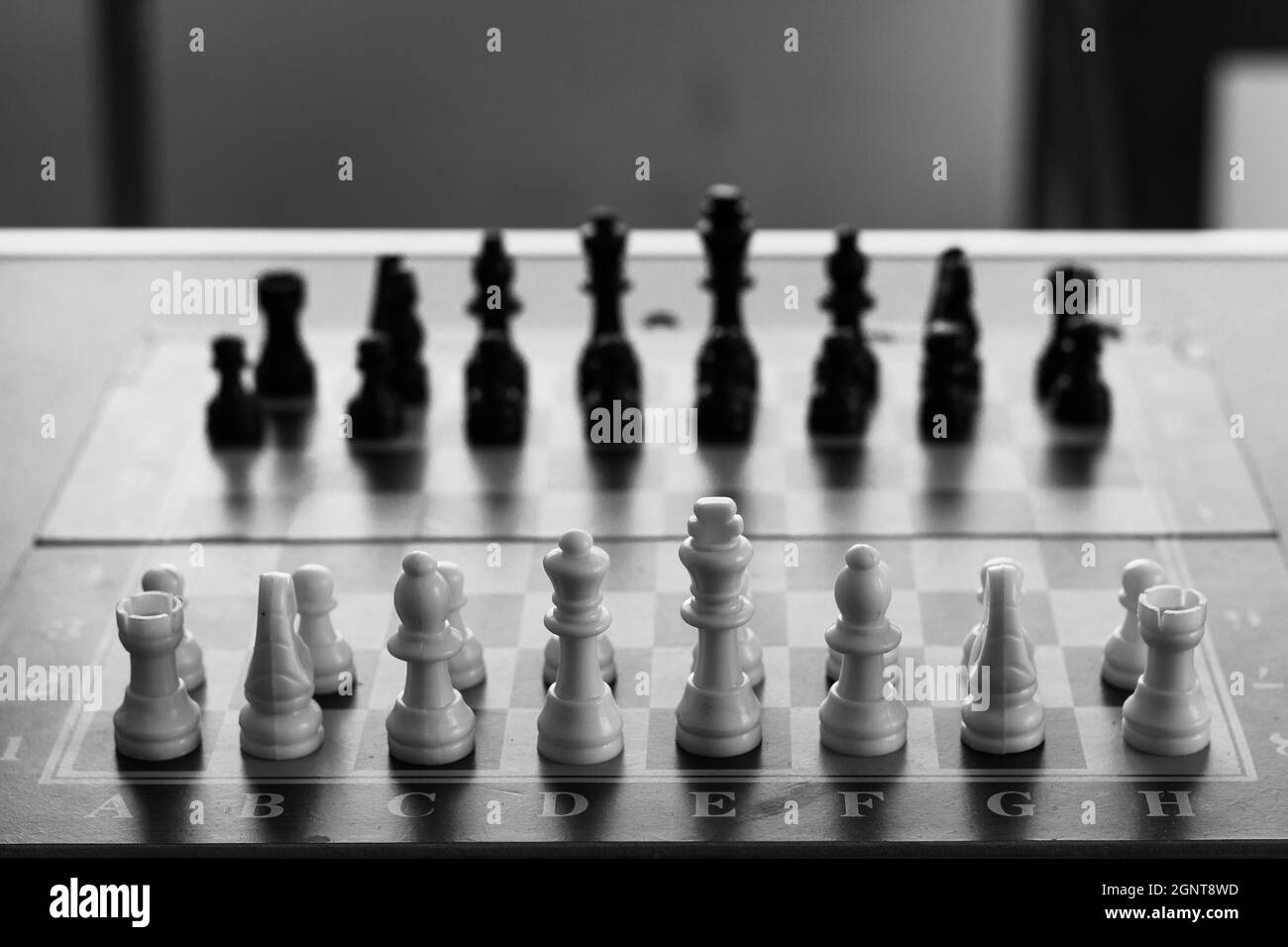 Schach-Spiel bereit, in schwarz und weiß gespielt werden. Strategie, Intelligenz, Licht- und Schattenkonzepte Stockfoto