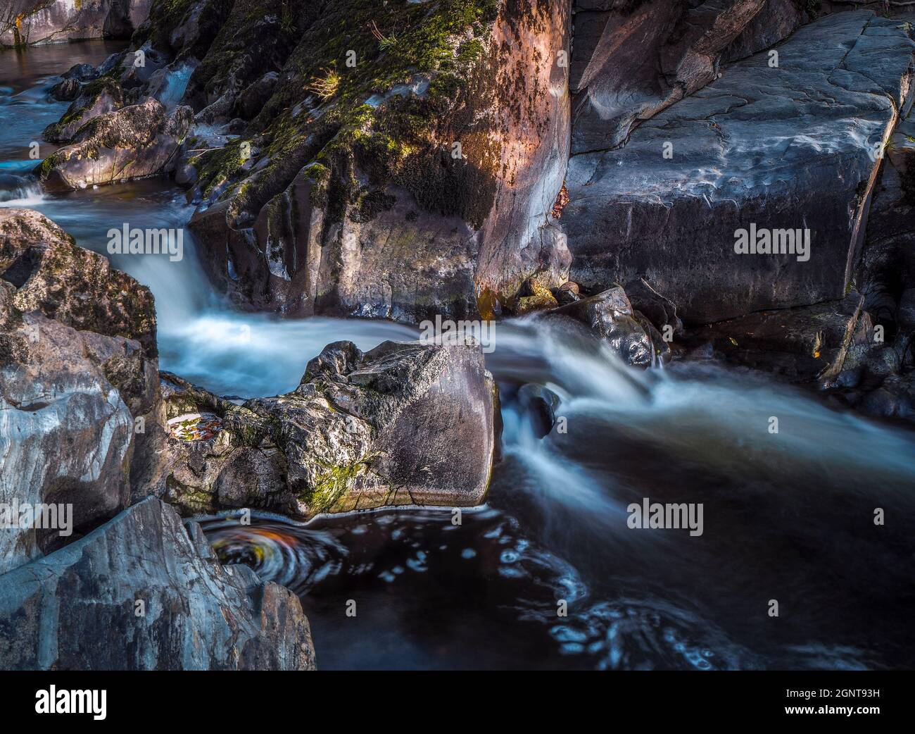 Cenarth Falls, River Teifi, West Wales Stockfoto