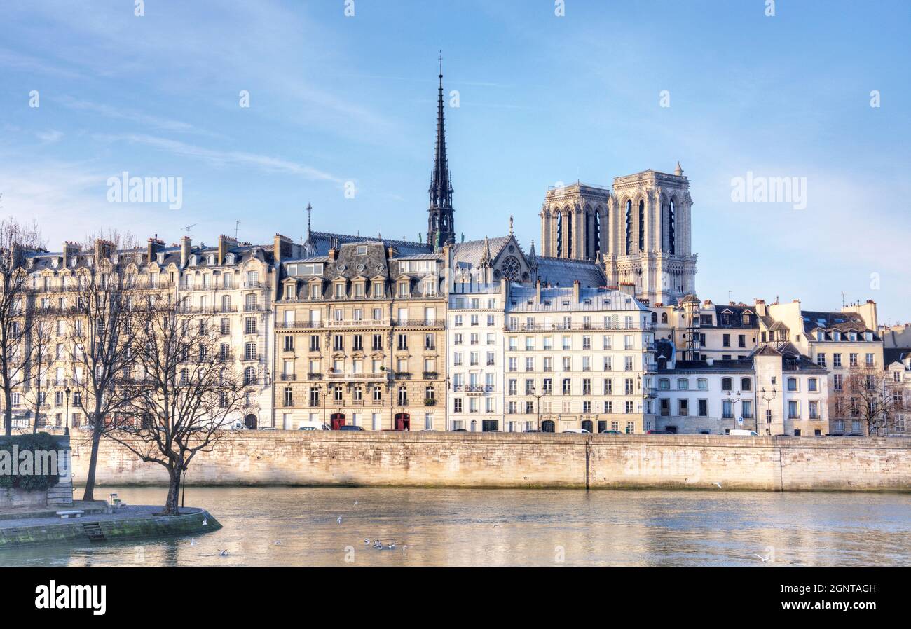 Frankreich, Paris (75), Zone classée Patrimoine Mondial de l'UNESCO, la cathédrale Notre-Dame sur l'Île de la Cité et les façades du quai // Frankreich, Paris Stockfoto