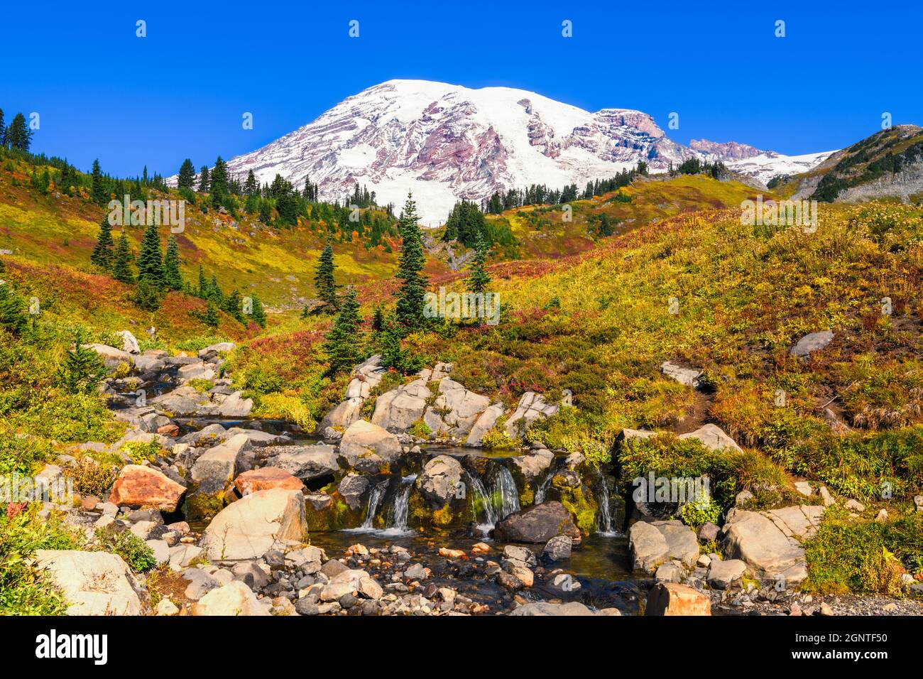 Edith Creek im Mount Rainier National Park fließt vor dem vulkanischen Gipfel, während Herbstfarben den Hang bedecken Stockfoto