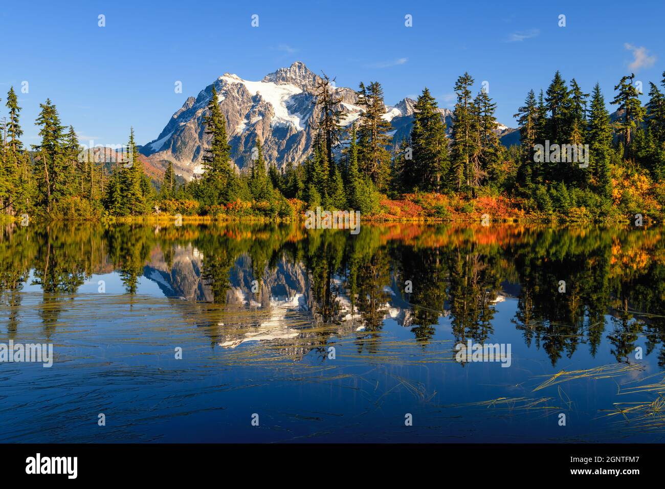 Mount Shuksan im North Cascades National Park spiegelt sich in einem See mit brillanten Herbstfarben, die einen ikonischen Blick im US-Bundesstaat Washington schaffen Stockfoto