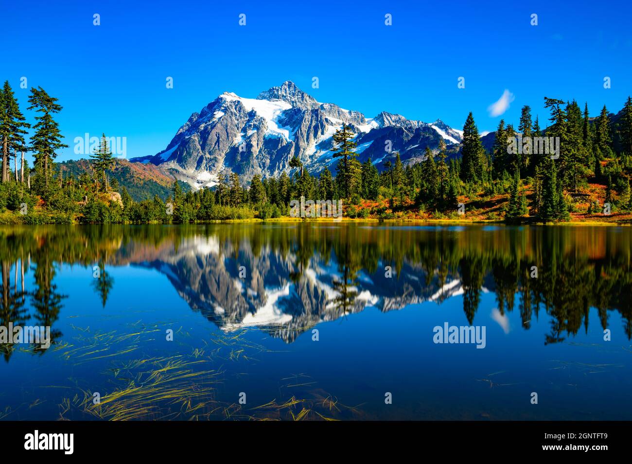 Die ikonische Ansicht des Mount Shuksan spiegelt sich in Picture Lake während des Herbstes im pazifischen Nordwesten der Vereinigten Staaten wider Stockfoto
