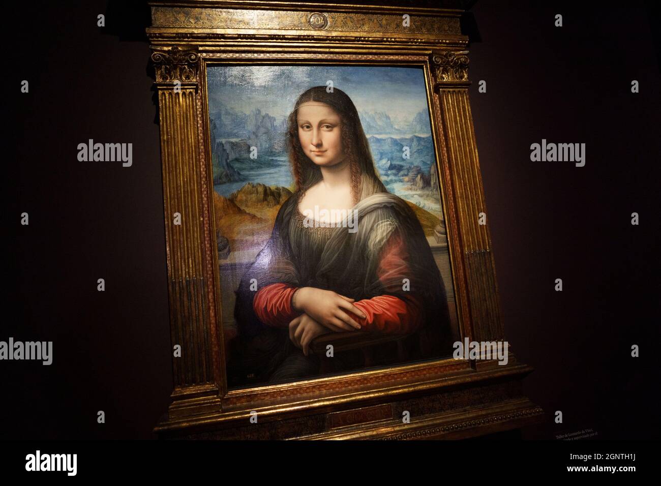 Ein Porträt von Mona Lisa, das während der Präsentation der Ausstellung