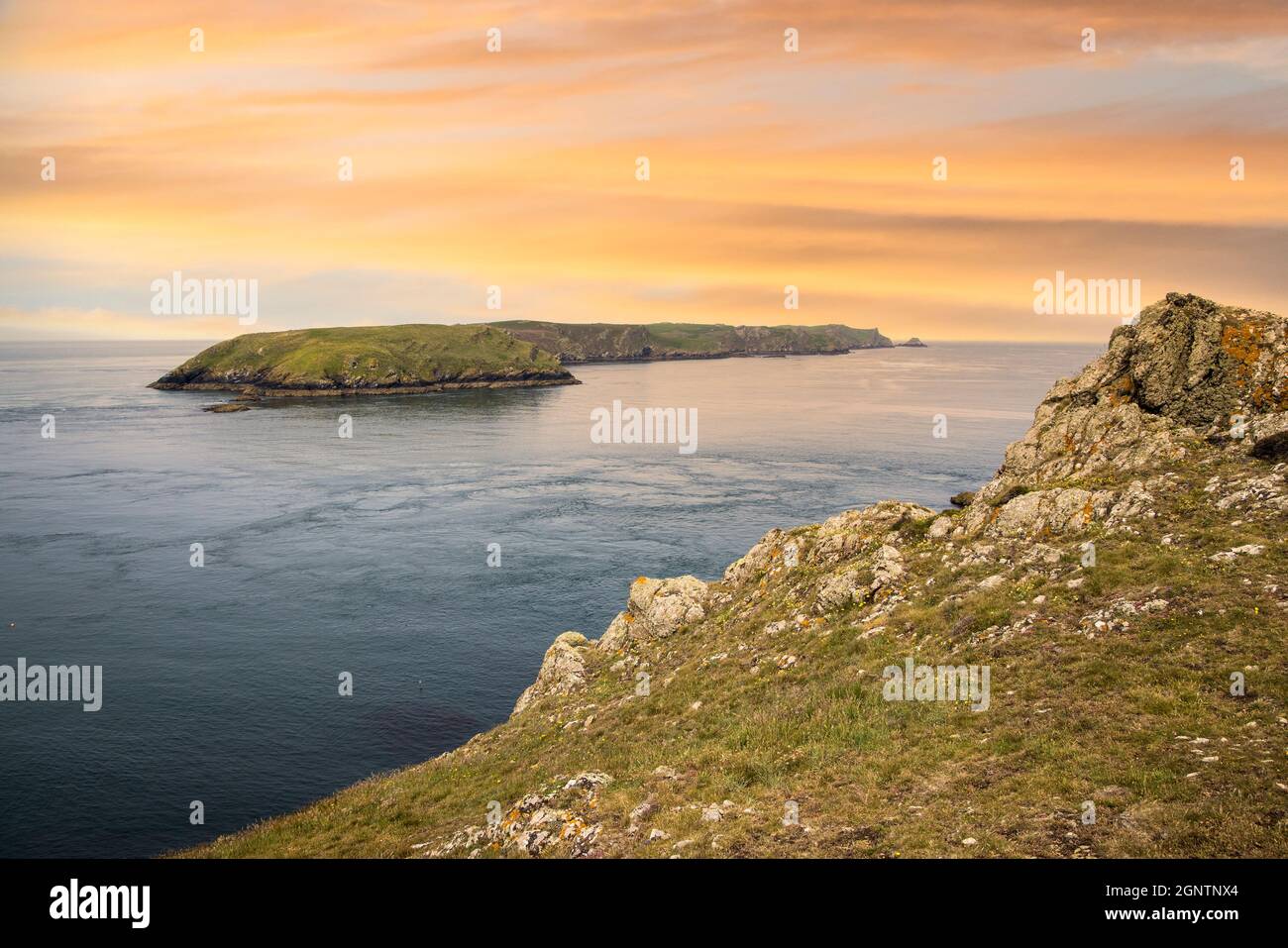 Skomer Island von der Landspitze von Martin's Haven, Pembrokeshire, Wales, Großbritannien Stockfoto
