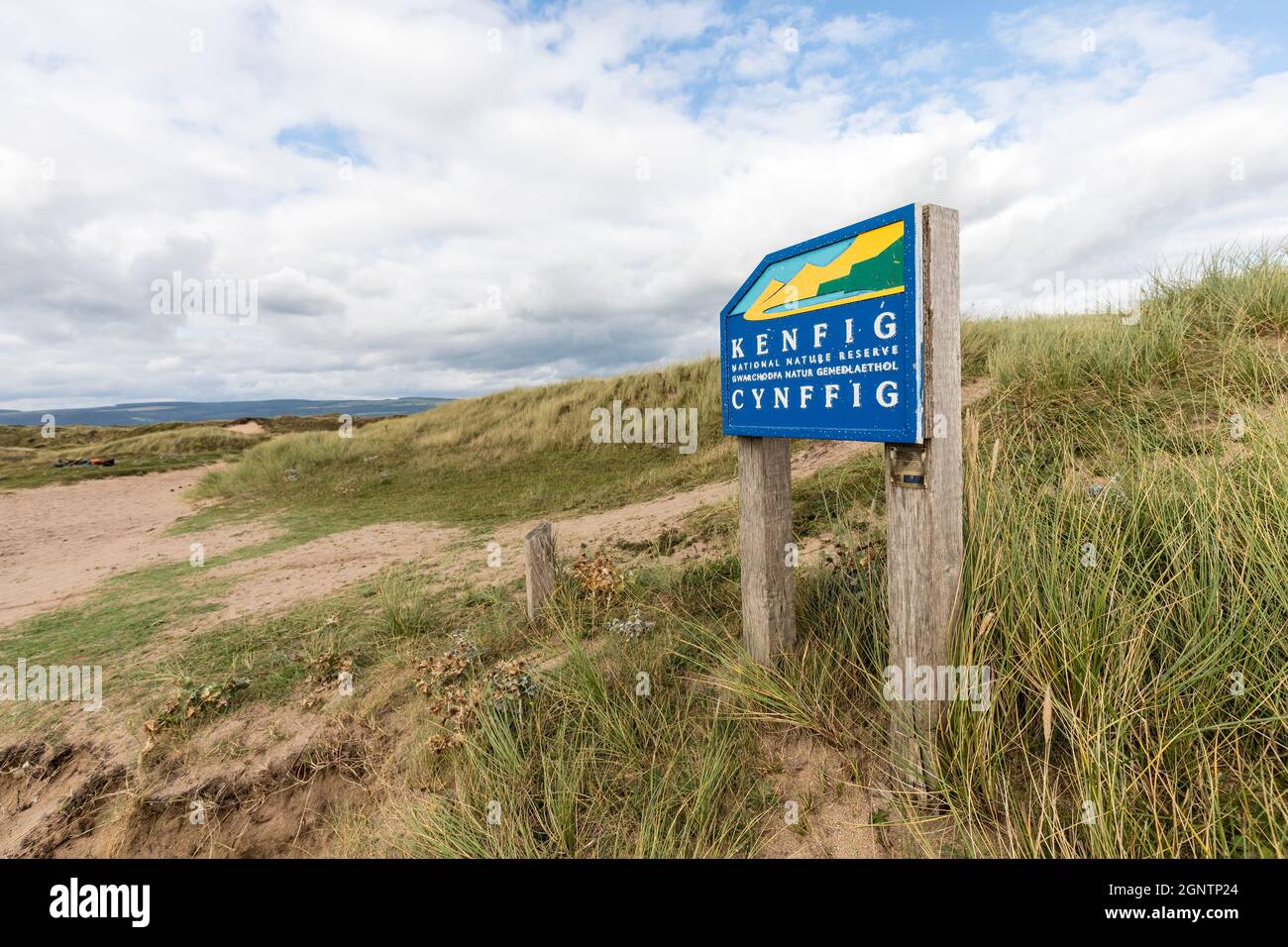 Melden Sie sich an den Stranddünen für das Kenfig National Nature Reserve, Wales, Großbritannien Stockfoto