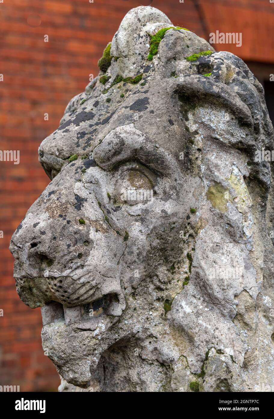 Antike Steinskulptur eines Löwen im klassischen Stil zur Verwendung im Garten als Dekoration. Gartenstatuarensteinlöwe mit Moos im antiken Stil bedeckt. Stockfoto