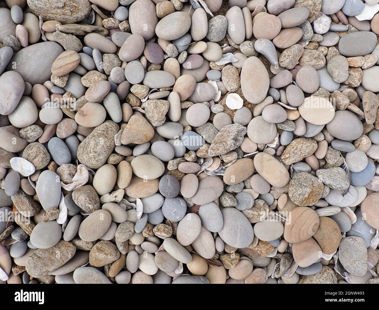 Bunte, Glatte Küstenstrandfelsen Und Kieselsteine Stockfoto