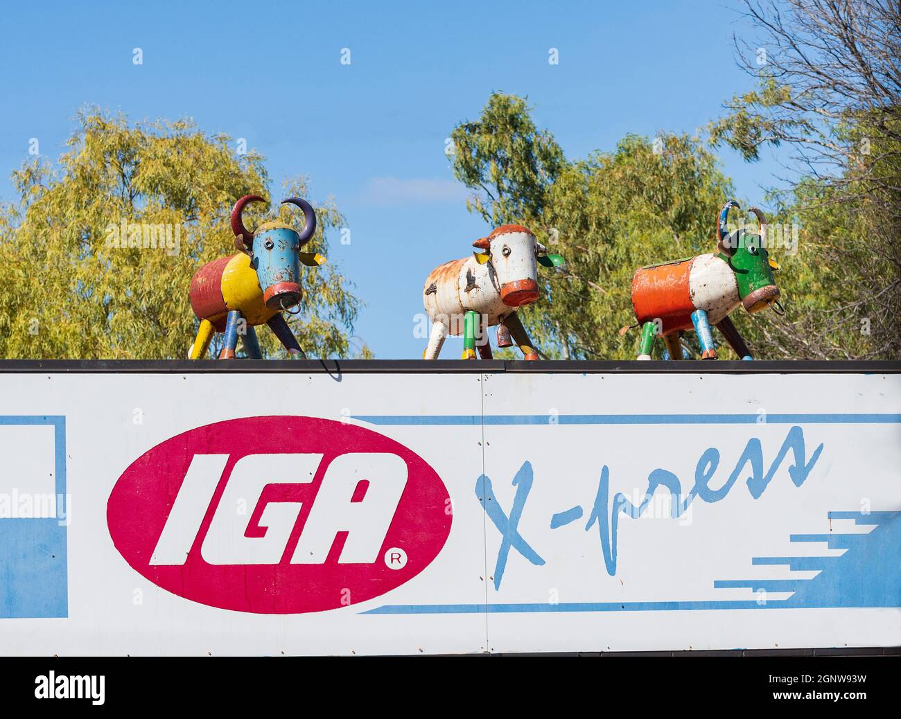 Statuen von Kühen auf dem Dach des Lebensmittelladens IGA X-Press, Halls Creek, Western Australia, WA, Australien Stockfoto
